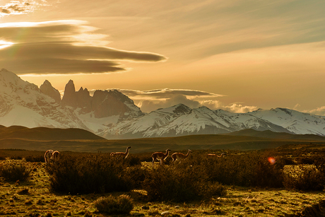 Zonsondergang in Torres del Paine, Chili