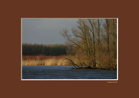 Biesbosch 2