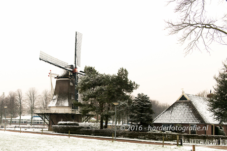 De eerste sneeuw in 2016