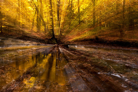 schilderen met herfstkleuren 2