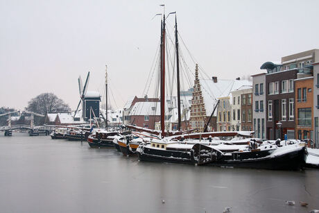 winter 2010 Leiden