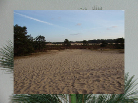 op een onbewoond eiland