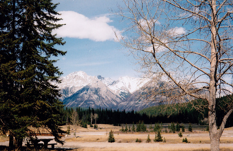 Canada 2004