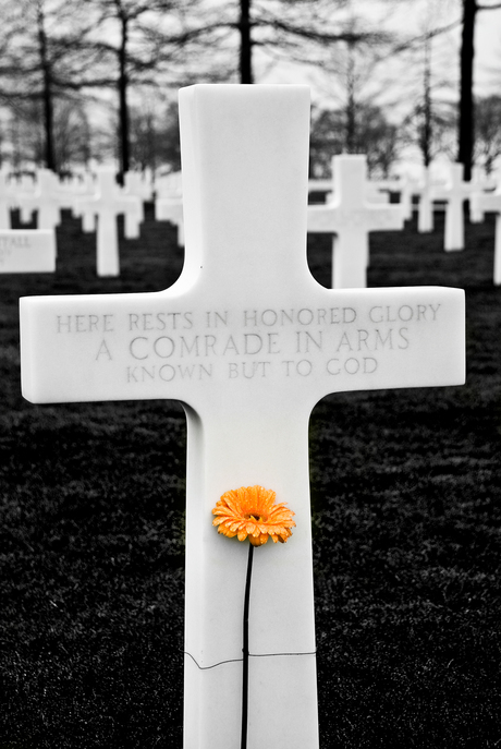 Unknown Soldiers, Lonely Graves