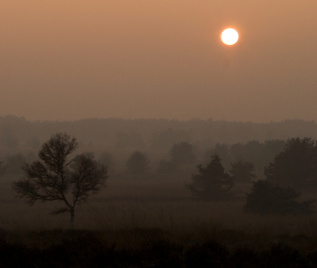 Laatste zonsondergang van het 2008!