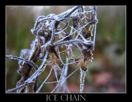 Ice Chain