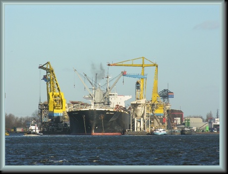 amsterdamse havengebied