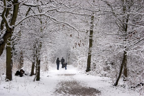 winter, sneeuw