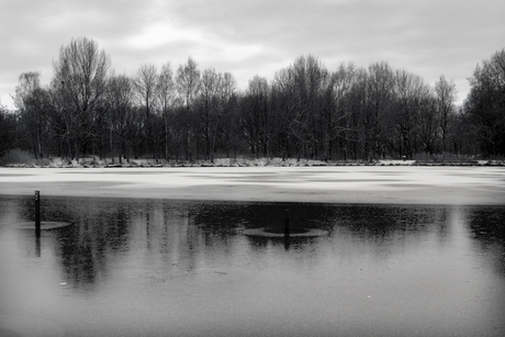 Biesbosch