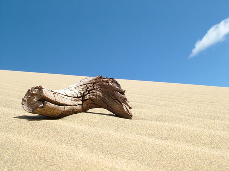 Dunas de Maspalomas