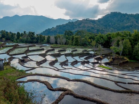 Indonesië 2015-17 (Large)