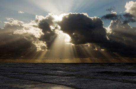 Dagje aan zee 2