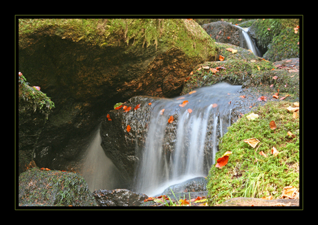 Herfst beekje