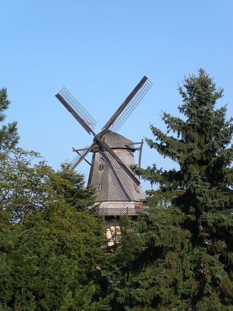 Molen