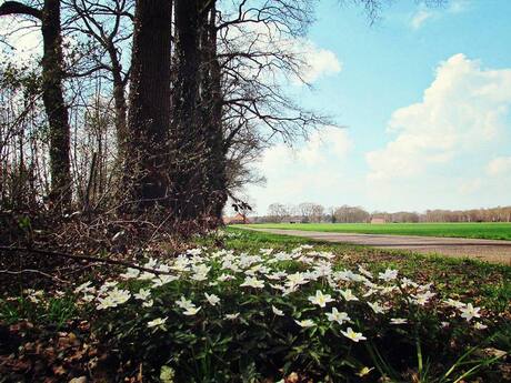 Lente in Beltrum