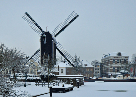 Winterdag in Leiden