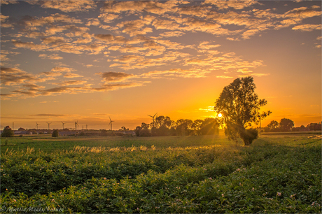 Zonsondergang in Deerlijk, BE