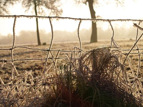 Winterochtend