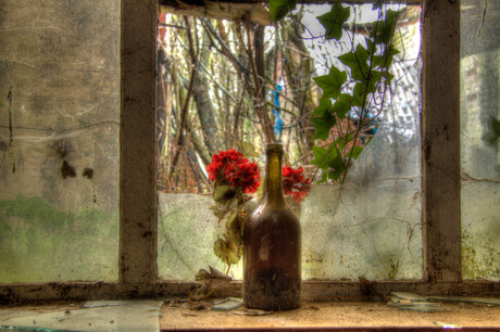 IMG_2969_70_71_tonemapped-2