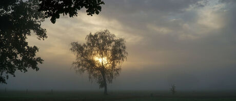 Klarenbeek in de ochtend