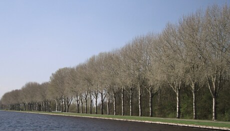 Kanaal Beerzerveld