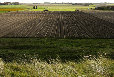 Het lijkt wel Nederland