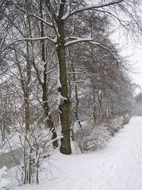 Winter in Noord Holland