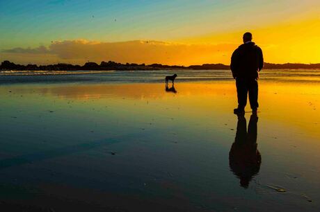 Man and Dog in Sunset