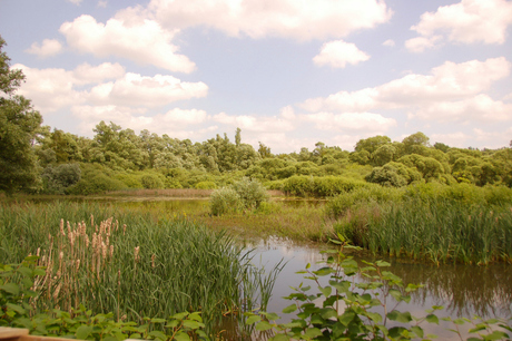 polders