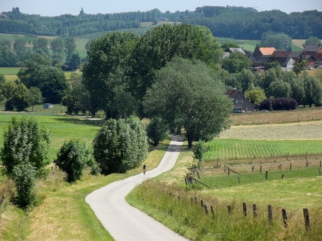 Vlaamse Ardennen