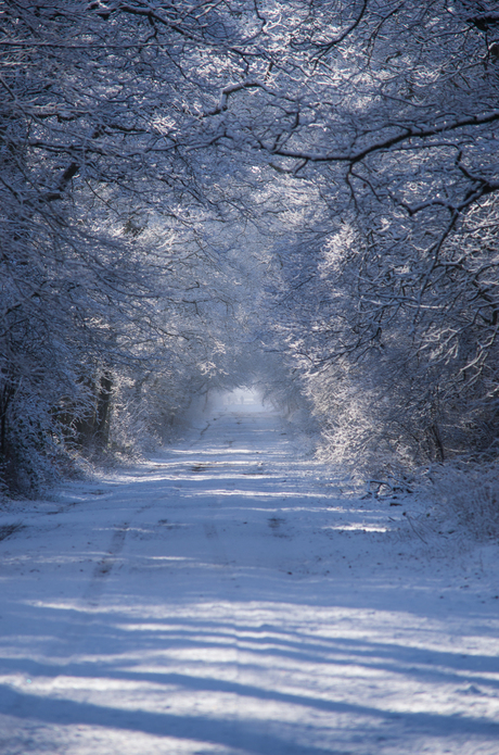 Wintertunnel