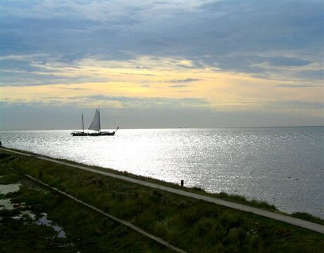 Eenzaam maar niet alleen