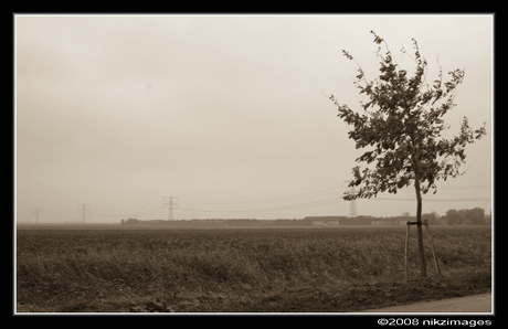 herfst in de polder