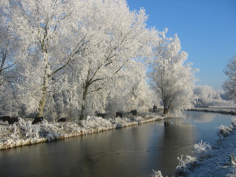 Winter in Zegersloot (1)
