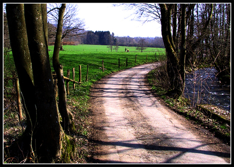 Uit de Ardenne