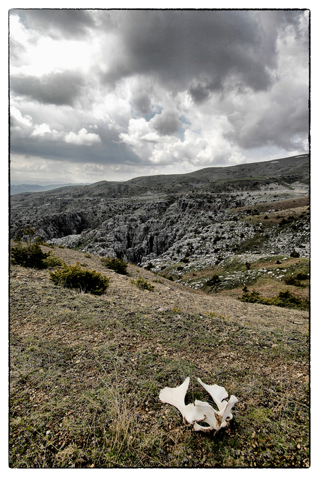 Zagoria bones