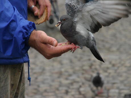 Honger