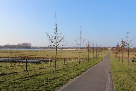 Lopen langs de lange Lindenlaan.