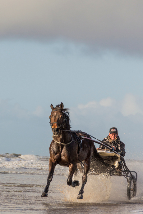 Draver trainen op het strand!!