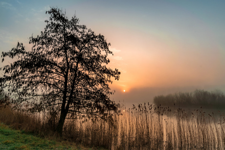 Misty morning....