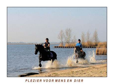 Plezier voor mens en dier