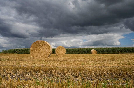 Dreiging op het platteland