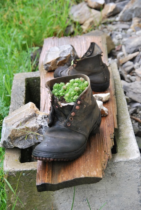 wandelschoenen