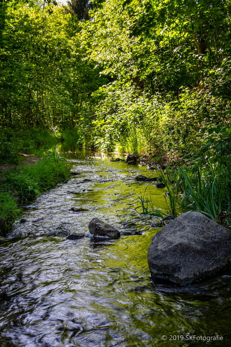 Landschap-skfotografie