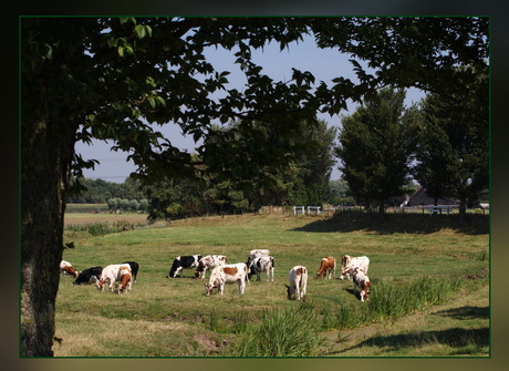 landelijk tafreel