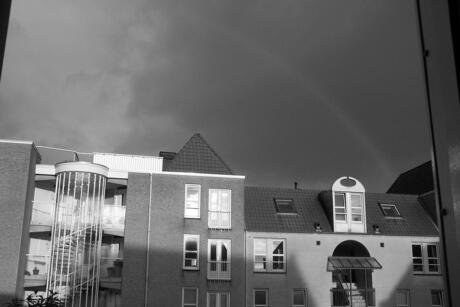 Zwart wit regenboog