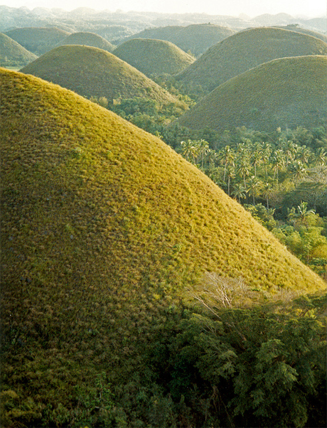 Chocolate Hills