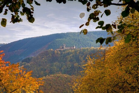 herfst in de Ardennen