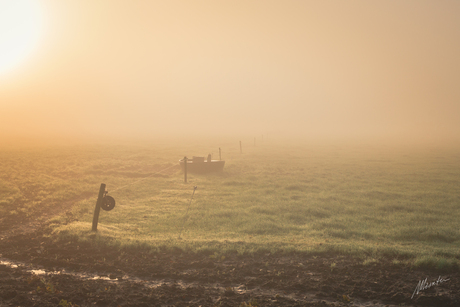 zonsopkomst in de mist in Drenthe