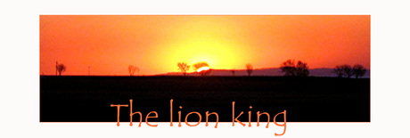 The lion king